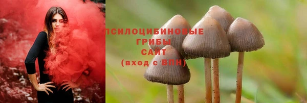 СК Снежногорск