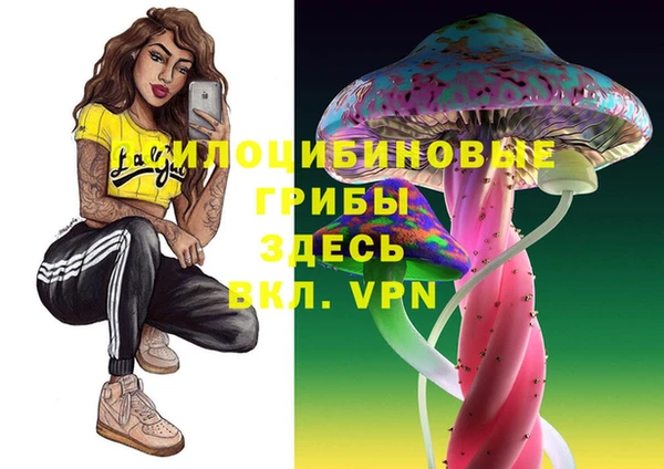 apvp Слюдянка