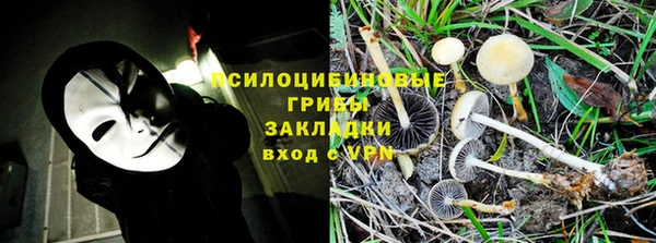 сатива Снежинск