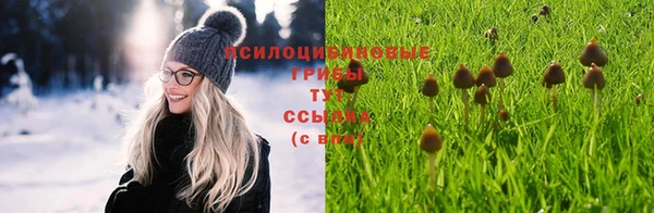 СК Снежногорск
